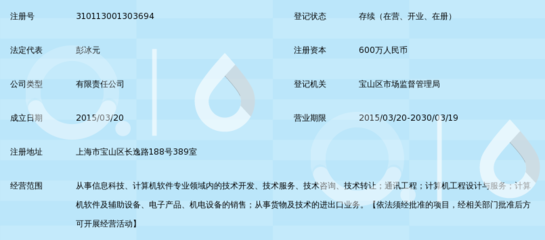 磐翼信息科技（上海） 專業信息咨詢服務，助力企業決策與創新
